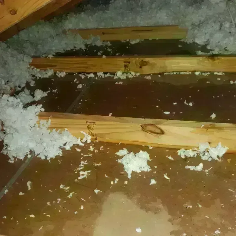 Attic Water Damage in Cochran County, TX